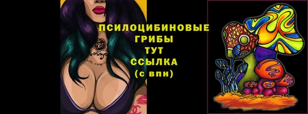 гашиш Горнозаводск